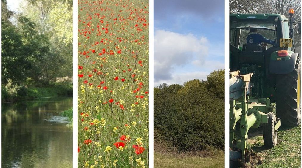 collage of four ecology and farm photos