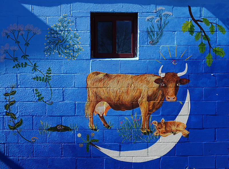 Cosmic Cow Mural by Briggin Scharf